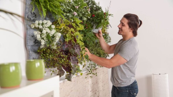 Giardini verticali, come creare una zona green in casa!